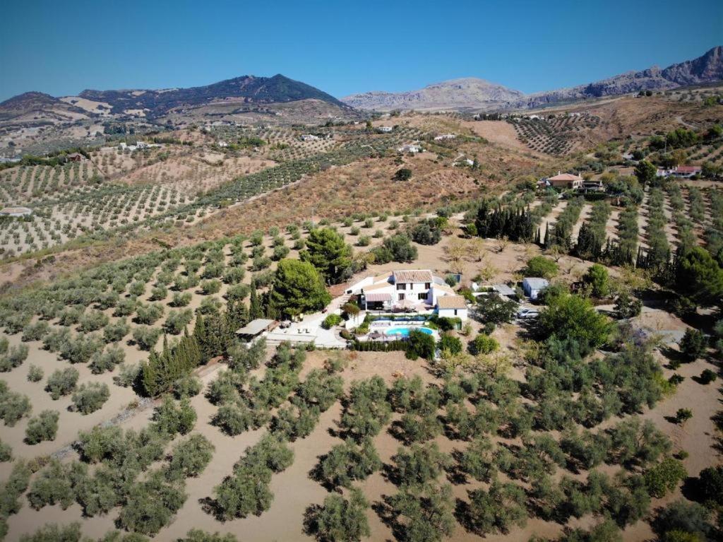 Finca Amorosa Villanueva de la Concepción Εξωτερικό φωτογραφία