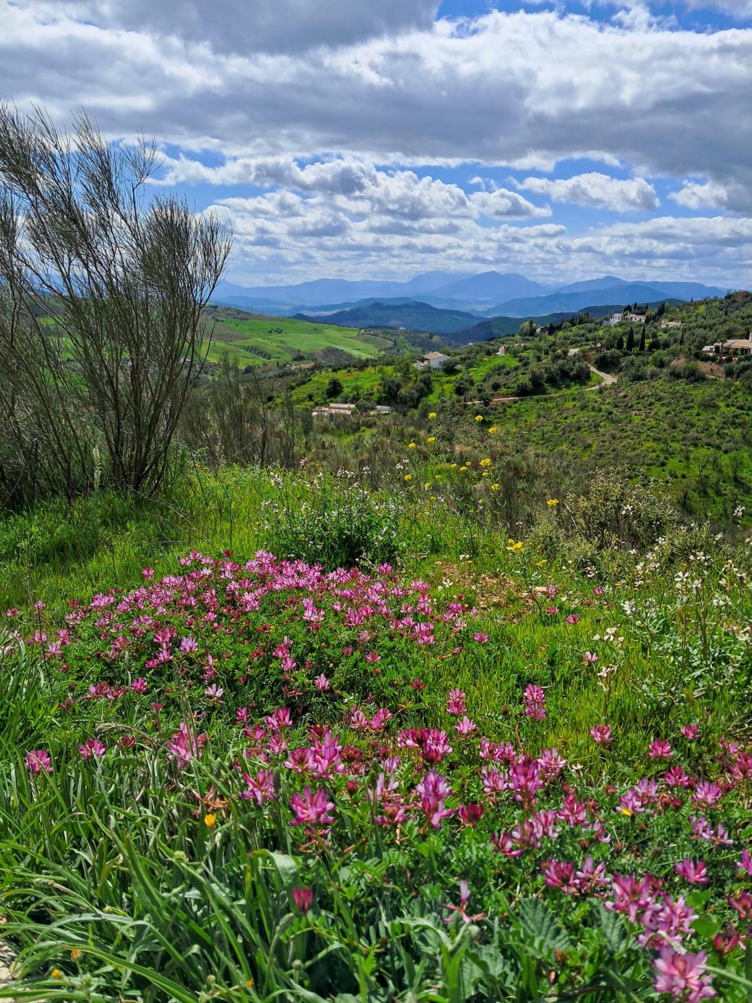 Finca Amorosa Villanueva de la Concepción Εξωτερικό φωτογραφία